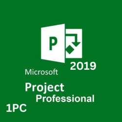 Project 2019 Professional 1PC [BIND]